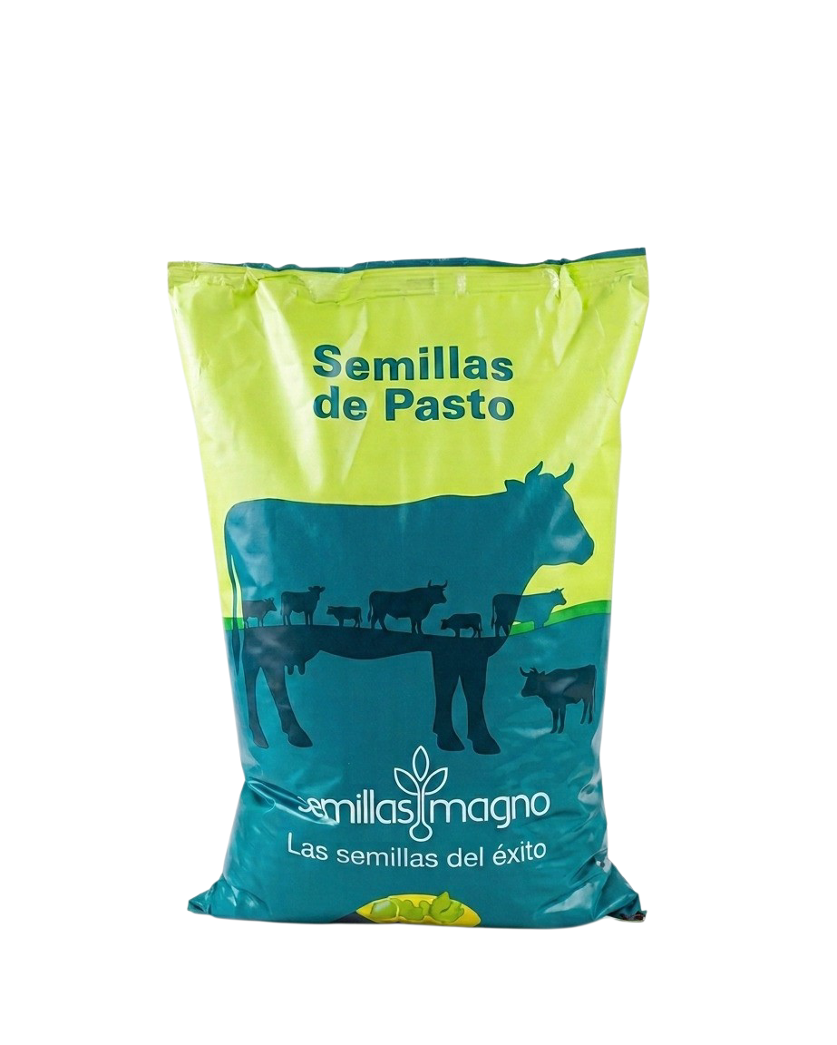 semillas pasto
